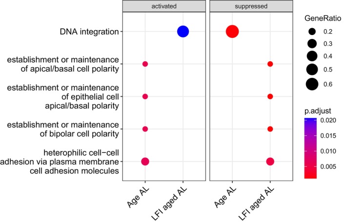 FIGURE 15