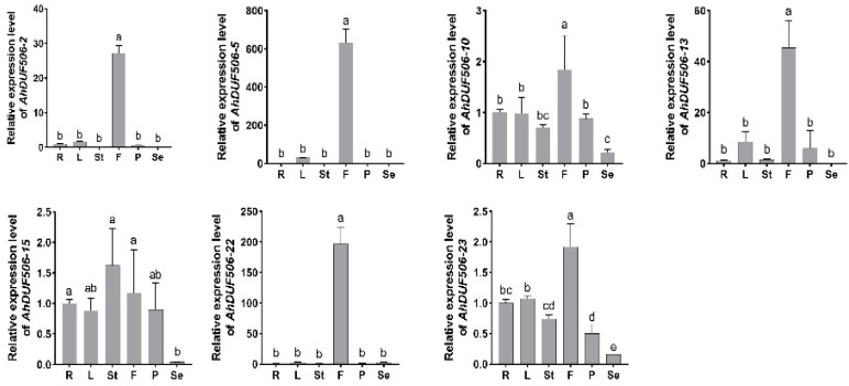 Figure 7