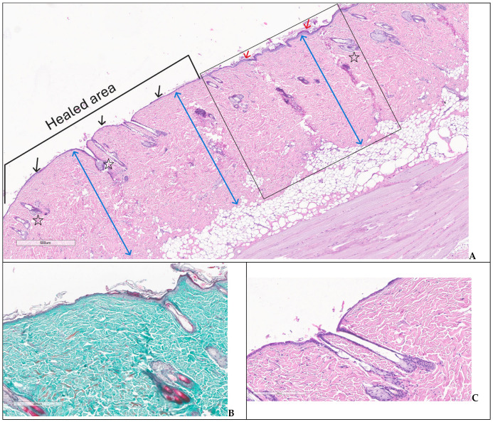 Figure 13