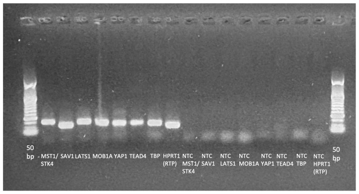 Figure 10