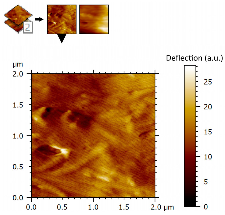 Figure 7