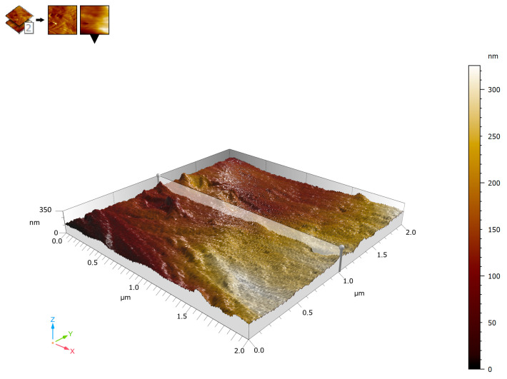 Figure 9