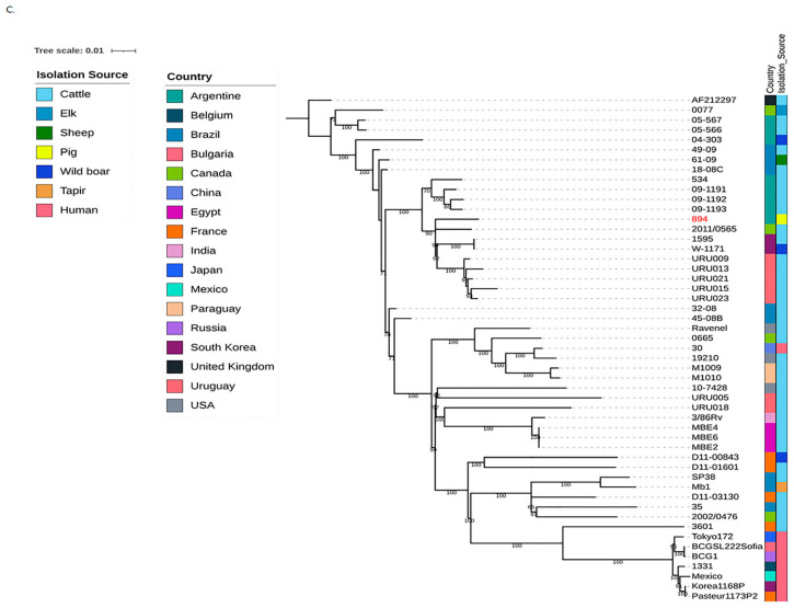 Figure 6