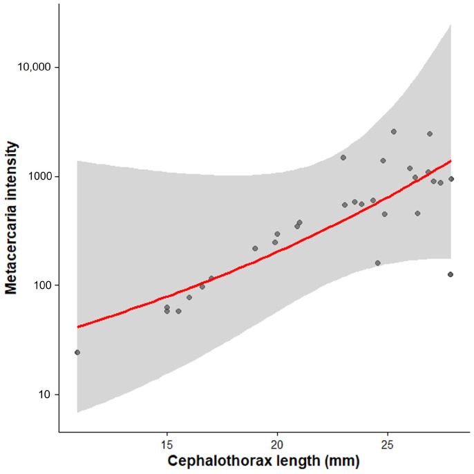 Figure 11