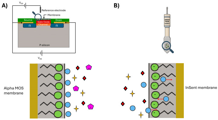 Figure 7