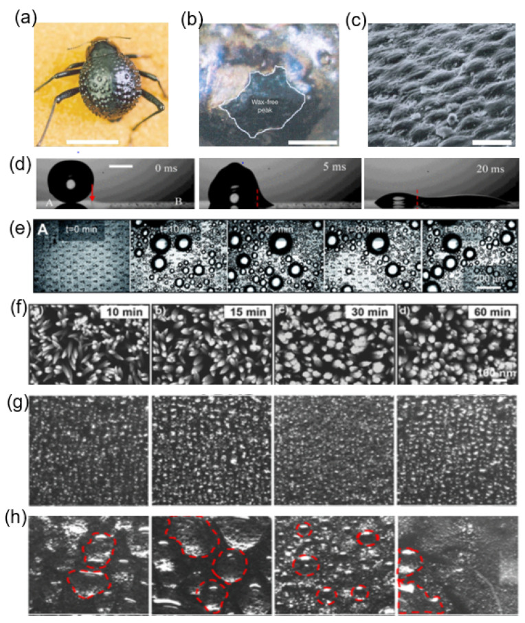 Figure 15