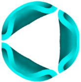 Figure 31
