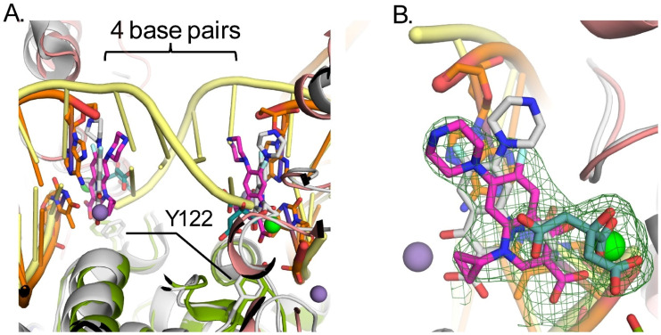 Figure 4