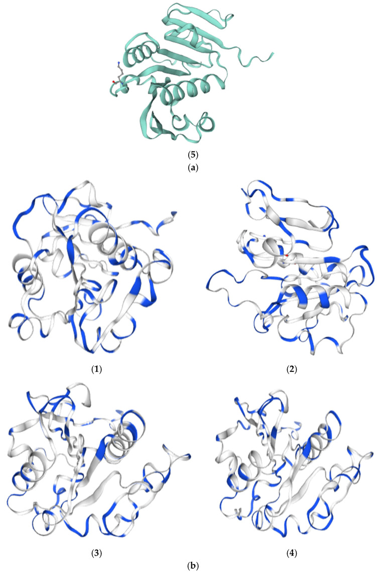 Figure 5