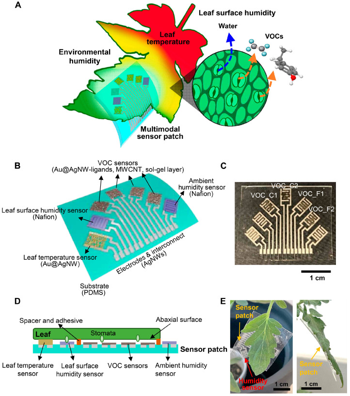 Figure 6