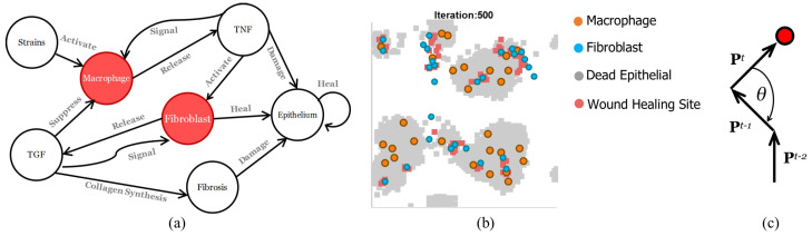 Figure 2