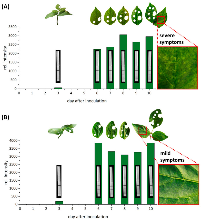 Figure 10