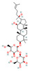 Figure 24