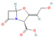 Figure 30