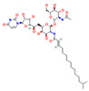 Figure 32