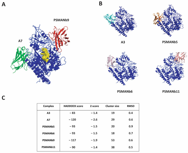 Figure 5