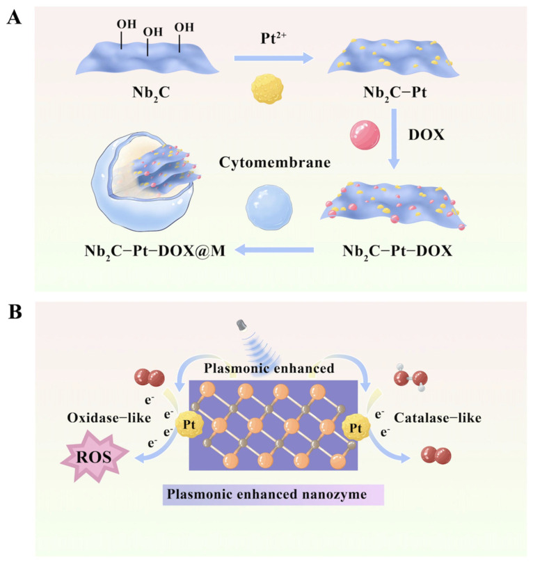 Figure 6