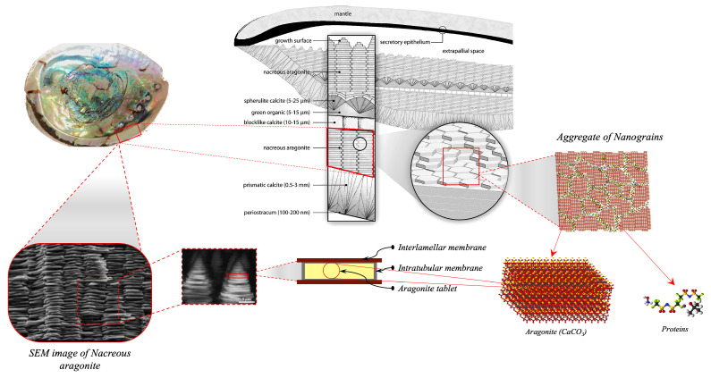 Figure 10