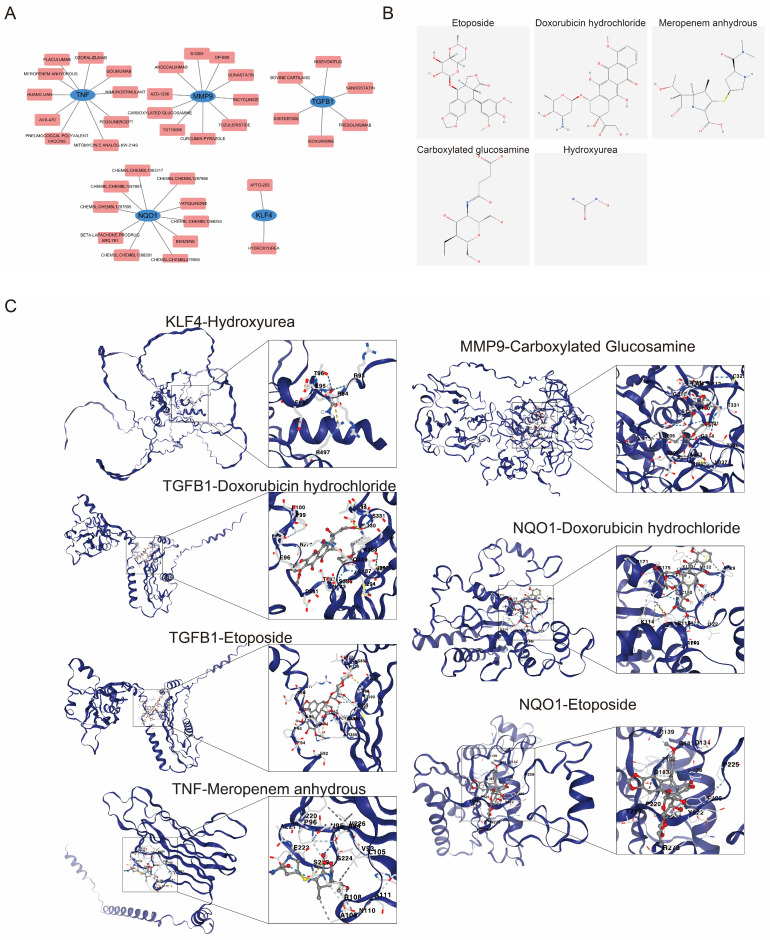 Figure 6