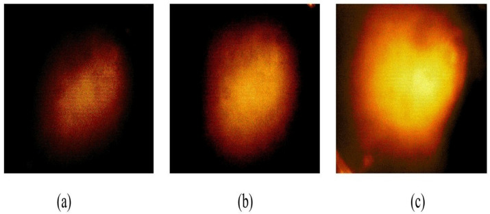 Figure 14
