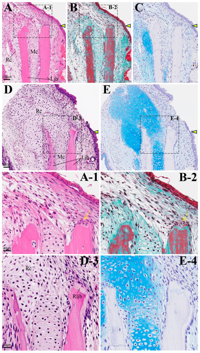 Figure 9