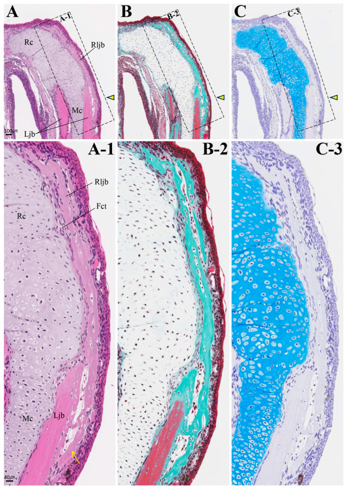 Figure 10