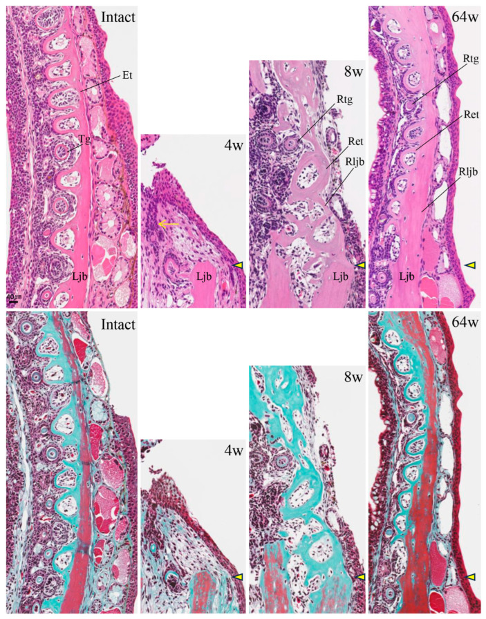 Figure 13