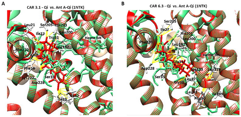 Figure 13