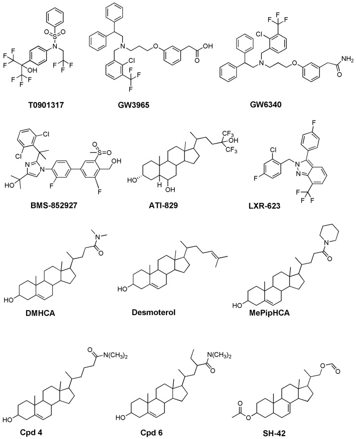 Figure 5