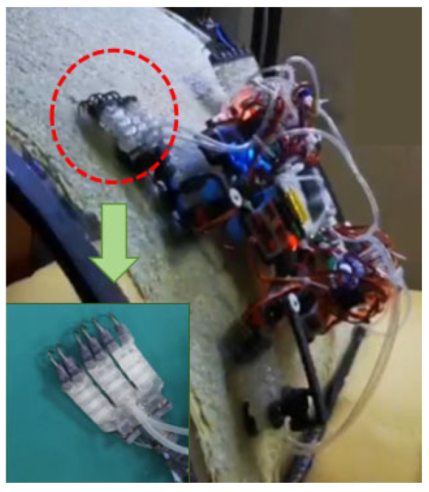 Figure 5