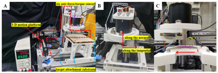 Figure 6