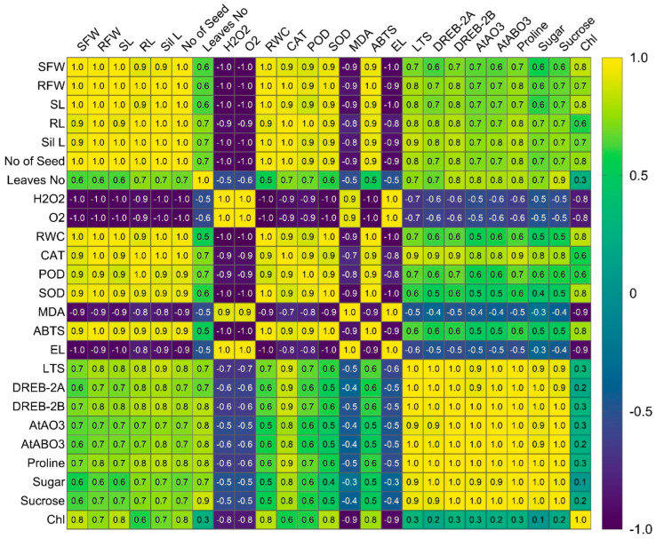 Figure 7
