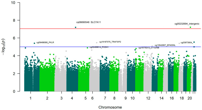 Figure 6