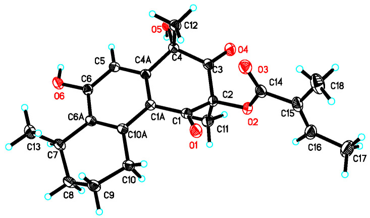Figure 4