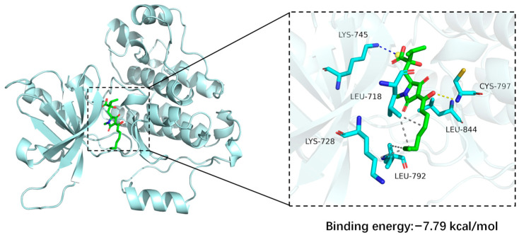 Figure 7