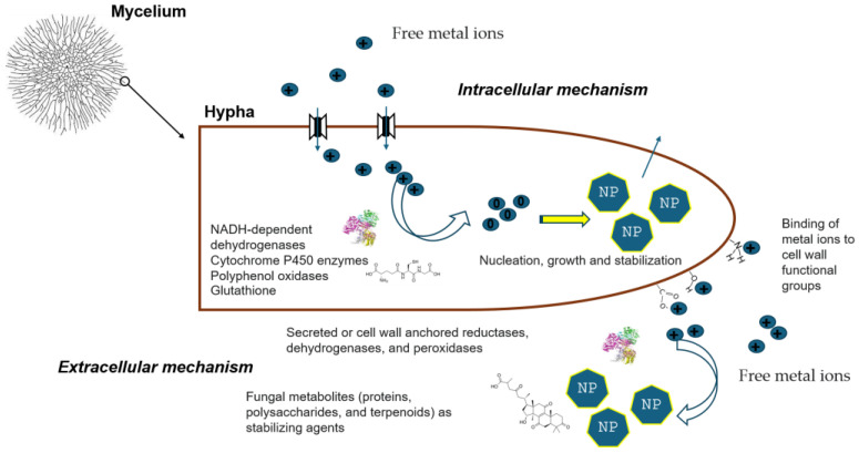 Figure 10