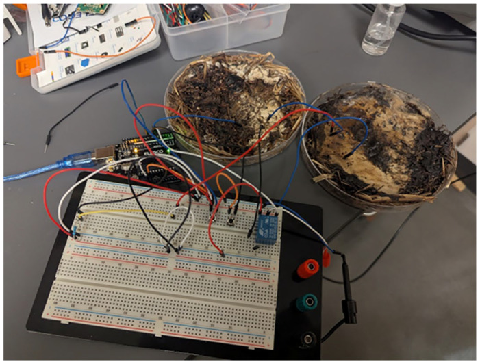 Figure 13