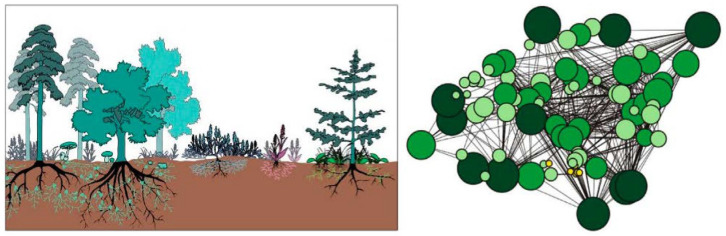Figure 20