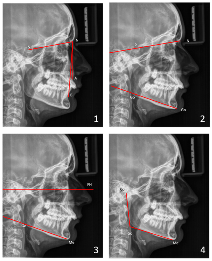 Figure 2