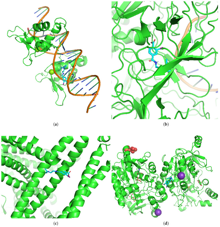 Figure 13