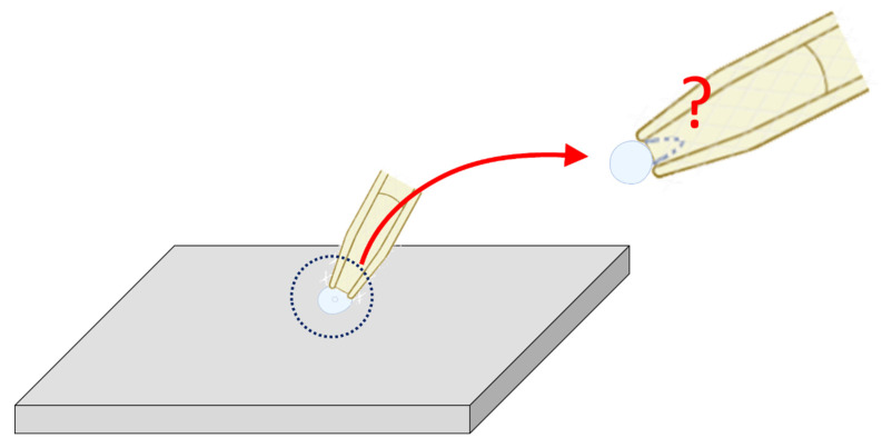 Figure 8