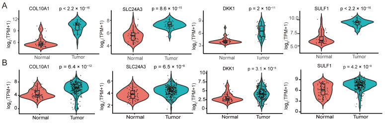 Figure 5