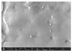 Figure 21