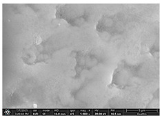 Figure 22