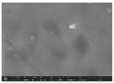 Figure 23