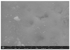 Figure 28