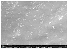 Figure 29