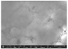 Figure 35
