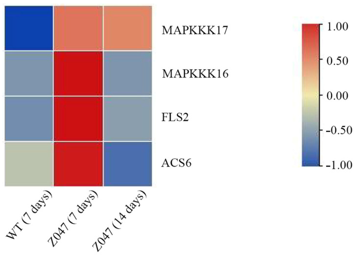 Figure 6