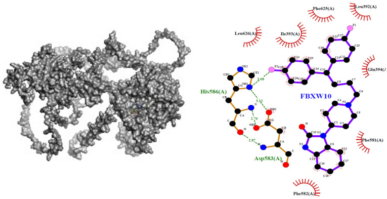 Figure 10